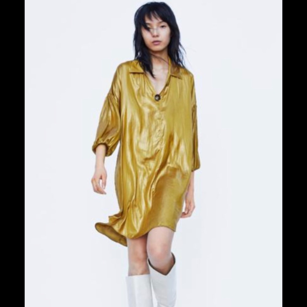 Zara dress
